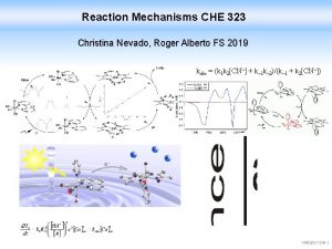 Reaction Mechanisms CHE 323 Christina Nevado Roger Alberto