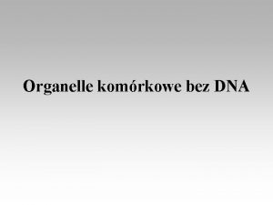 Organelle komrkowe bez DNA Rybosomy Wystpuj w cytolamie