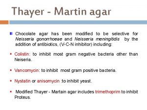 Thayer Martin agar Chocolate agar has been modified