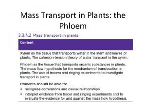 Mass Transport in Plants the Phloem What is