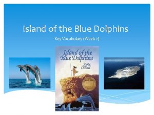 Island of the Blue Dolphins Key Vocabulary Week