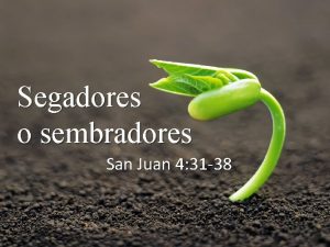 Segadores o sembradores San Juan 4 31 38