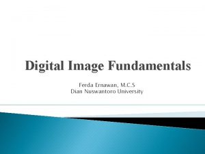 Digital Image Fundamentals Ferda Ernawan M C S