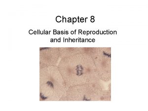 Chapter 8 Cellular Basis of Reproduction and Inheritance