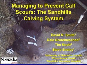 Managing to Prevent Calf Scours The Sandhills Calving