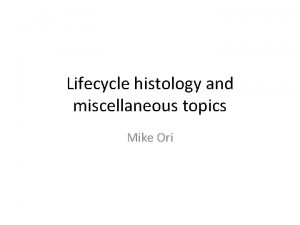 Lifecycle histology and miscellaneous topics Mike Ori Disclaimer