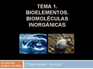 TEMA 1 BIOELEMENTOS BIOMOLCULAS INORGNICAS IES Muriedas Bonifacio