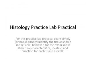 Histology lab practical