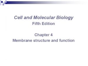 Cell and Molecular Biology Fifth Edition Chapter 4