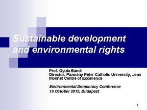 Sustainable development and environmental rights Prof Gyula Bndi