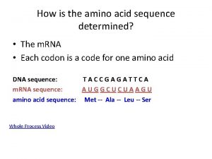 How to determine the amino acid sequence