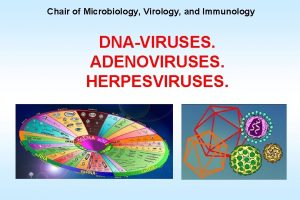 Chair of Microbiology Virology and Immunology DNAVIRUSES ADENOVIRUSES