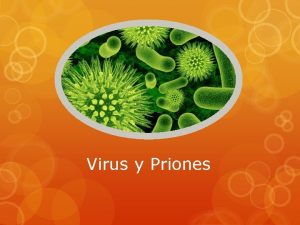 Virus y Priones Qu es un virus Es