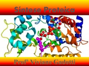 Sntese Proteica Prof Viviane Gadotti Quem participa E