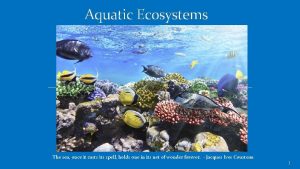 Aquatic Ecosystems The sea once it casts its