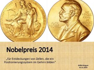 Nobelpreis 2014 fr Entdeckungen von Zellen die ein
