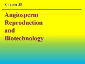 Chapter 38 Angiosperm Reproduction and Biotechnology Overview Angiosperm