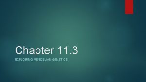 Chapter 11 3 EXPLORING MENDELIAN GENETICS Independent Assortment