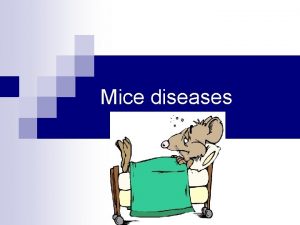 Mice diseases Bacterial diseases MRM Mycoplasma pulmonis is