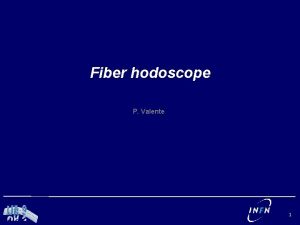 Fiber hodoscope P Valente 1 Roman pot 2