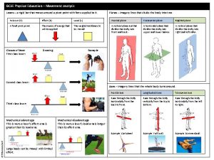 GCSE Physical Education Movement analysis Levers a rigid