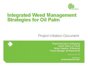 Integrated Weed Management Strategies for Oil Palm Project