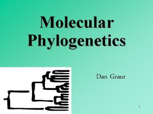 Molecular Phylogenetics Dan Graur 1 2 3 4