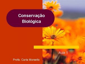 Conservao Biolgica Aula 1 Profa Carla Morsello Atividades
