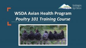 WSDA Avian Health Program Poultry 101 Training Course