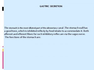 GASTRIC SECRETION The stomach is the most dilated