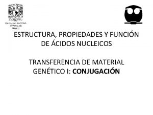 ESTRUCTURA PROPIEDADES Y FUNCIN DE CIDOS NUCLEICOS TRANSFERENCIA