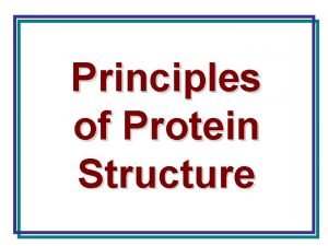 Principles of Protein Structure AMINOACIDS carboxyl COOH amino