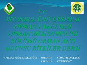 T C STANBUL NVERSTES ORMAN FAKLTES ORMAN MHENDSL