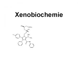 Xenobiochemie Osnova 1 Vstup xenobiotik do organizmu 2