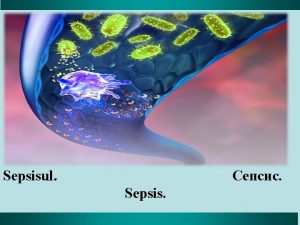 Sepsisul Sepsis Tema Sepsisul Micropreparate 101 Nefrit embolic