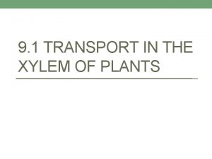 9 1 TRANSPORT IN THE XYLEM OF PLANTS