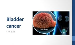 Bladder cancer April 2016 Bladder cancer Introduction Bladder