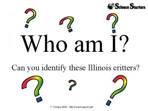 Who am I Can you identify these Illinois