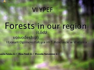 VI YPEF Forests in our region d voivodeship