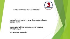 SAMSUN ONDOKUZ MAYIS NVERSTES MOLEKLER BYOLOJ VE GENETK