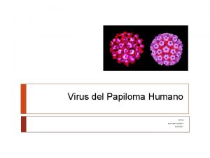 Virus del Papiloma Humano M Paz MICROBIOLOGA II