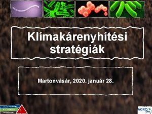 Klmakrenyhtsi stratgik Martonvsr 2020 janur 28 g Gazdasg