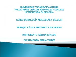 UNIVERSIDAD TECNOLOGICA OTEIMA FACULTAD DE CIENCIAS NATURALES Y