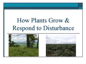 How Plants Grow Respond to Disturbance Succession Disturbance