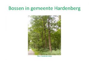 Bossen in gemeente Hardenberg Bos Heemserveen Bossen in