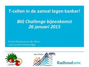 Tcellen in de aanval tegen kanker BIG Challenge