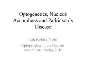 Optogenetics Nucleus Accumbens and Parkinsons Disease Deb PerkinsHicks