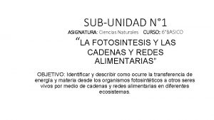 SUBUNIDAD N 1 ASIGNATURA Ciencias Naturales CURSO 6BASICO