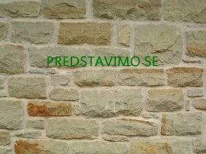 PREDSTAVIMO SE Osnovno o nama Mi smo osmi