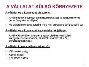 A VLLALAT KLS KRNYEZETE A vllalat s a